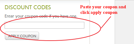 Beebay Online Coupon Code Field