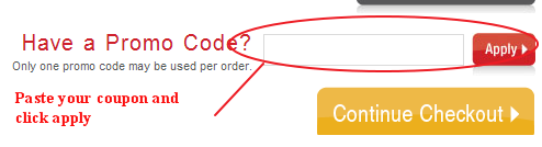 Red Gift Shop Promo Code Field