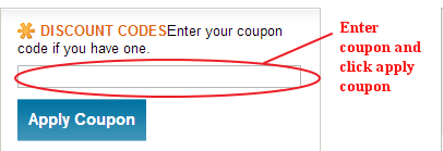 99Lens Discount Code Field