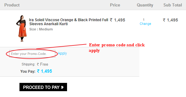 The Guilt Trip Promo Code Field